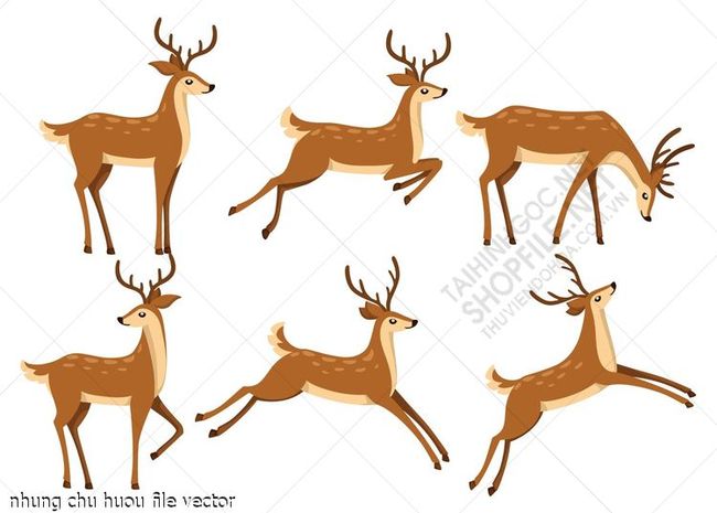 nhung chu huou file vector